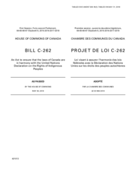 206-18(3) - Bill C-262, An Act to Ensure that the laws of Canada are in Harmony with the United Nations Declaration on the Rights of Indigenous Peoples 