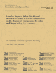 CR 27-19(2) - Interim Report - What We Heard About the United Nations Declaration on the Rights of Indigenous Peoples and Negotiating Agreements