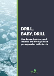 Drill, baby, drill : how banks, investors and insurers are driving oil and gas expansion in the Arctic