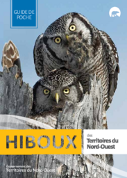 Hiboux des Territoires du Nord-Ouest