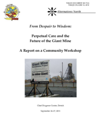 048-17(3) - From Despair to Wisdom: Perpetual Care and the Future of the Giant Mine: A Report on a Community Workshop 