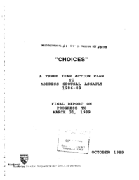 21-89(2) - "Choices", a Three Year Action Plan to Address Spousal Assault