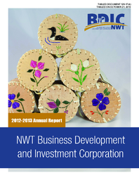 125-17(4) - Business Development and Investment Corporation 2012-2013 Annual Report 