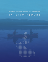 Interim Report