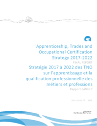 Apprenticeship, Trades and Occupational Certification Strategy 2017-2022 : Final Report