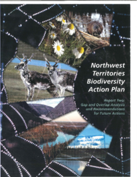 Northwest Territories Biodiversity Action Plan - Report Two: Gap and Overlap Analysis and Recommendations for Future Actions