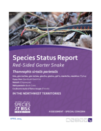 Species Status Report for Red-sided Garter Snake (Thamnophis sirtalis parietalis) in the Northwest Territories