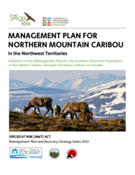 Management Plan for Northern Mountain Caribou in the Northwest Territories : Adoption of the Management Plan for the Northern Mountain Population of Woodland Caribou (Rangifer tarandus caribou) in Canada