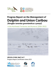 Progress Report on the Management of Dolphin and Union Caribou (Rangifer tarandus groenlandicus x pearyi) in the Northwest Territories and Nunavut (2018-2022)