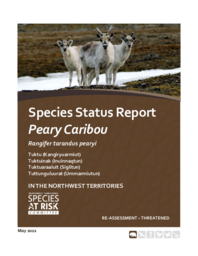 Species Status Report for Peary Caribou (Rangifer tarandus pearyi) in the Northwest Territories