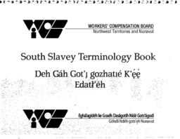 South Slavey terminology book = Deh Gáh Got’ı̨ gozhatıé K’ę́ę́ Edatł’éh