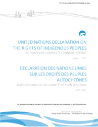 0217-20(1) - United Nations Declaration on the Rights of Indigenous Peoples Action Plan Committee Annual Report 2024