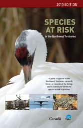 Species at risk in the Northwest Territories : [2010] a guide to NWT species legally listed under the federal Species at Risk Act and those under consideration for listing