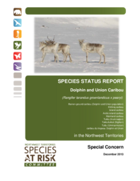 Species Status Report. Dolphin and Union Caribou (Rangifer tarandus groenlandicus x pearyi) in the Northwest Territories