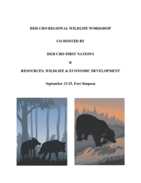 Deh Cho Regional Wildlife Workshop Co-Hosted by Deh Cho First Nations & Resources, Wildlife & Economic Development