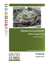 Species Status Report. Northern Leopard Frog (Lithobates pipiens) in the Northwest Territories