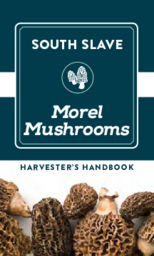 South Slave Morel Mushrooms : Harvest's Handbook