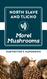 North Slave and Tłįchǫ Morel Mushrooms : Harvester's Handbook