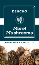 Dehcho Morel Mushrooms : Harvester's Handbook