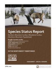 Species Status Report. Northern Mountain Caribou (Woodland Caribou [Northern Mountain Population]) in the Northwest Territories