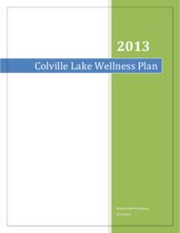 Colville Lake Wellness Plan