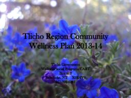 Tłįchǫ Region Community Wellness Plan 2013-2014